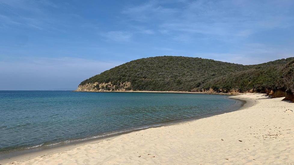 Da martedì a Cala Violina solo con prenotazione online