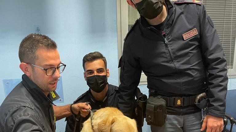 La droga e i soldi sequestrati