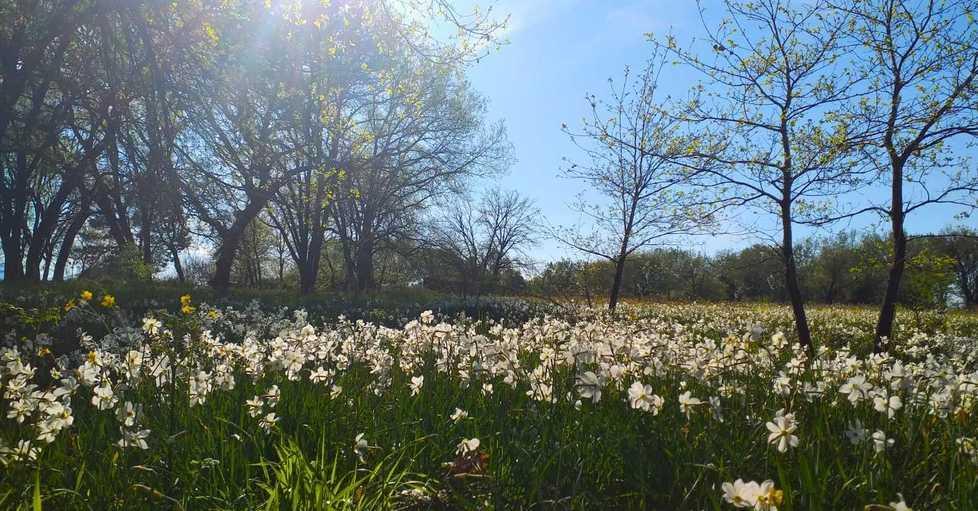 Nella riserva del Lago di Sibolla per scoprire la biodiversità