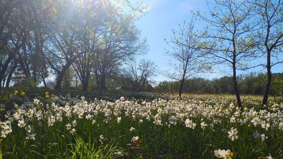 Nella riserva del Lago di Sibolla per scoprire la biodiversità
