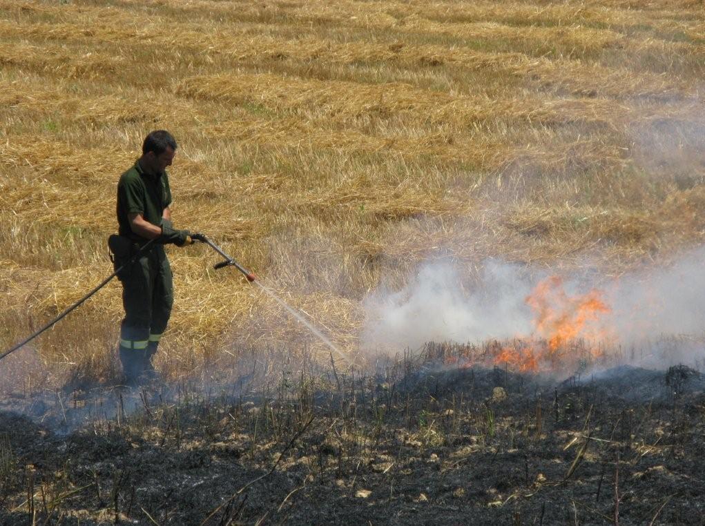 Antincendi, a Osidda arruolati i barracelli 