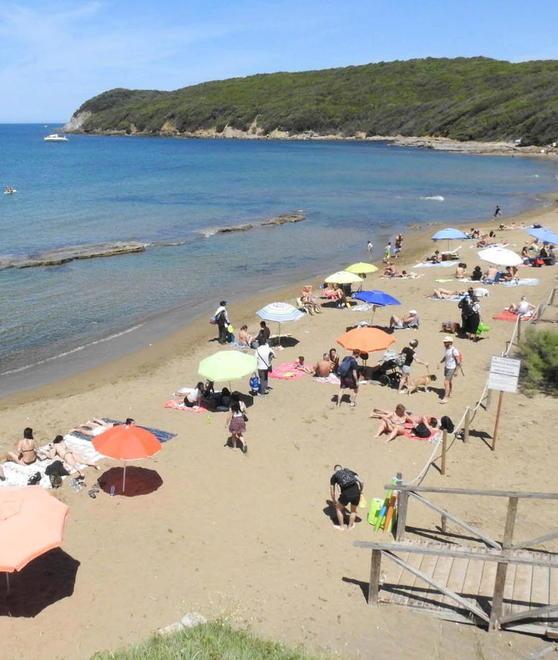 Via la plastica da Baratti Volontari al lavoro