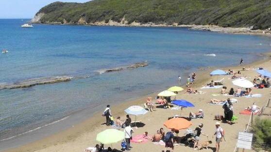 Via la plastica da Baratti Volontari al lavoro