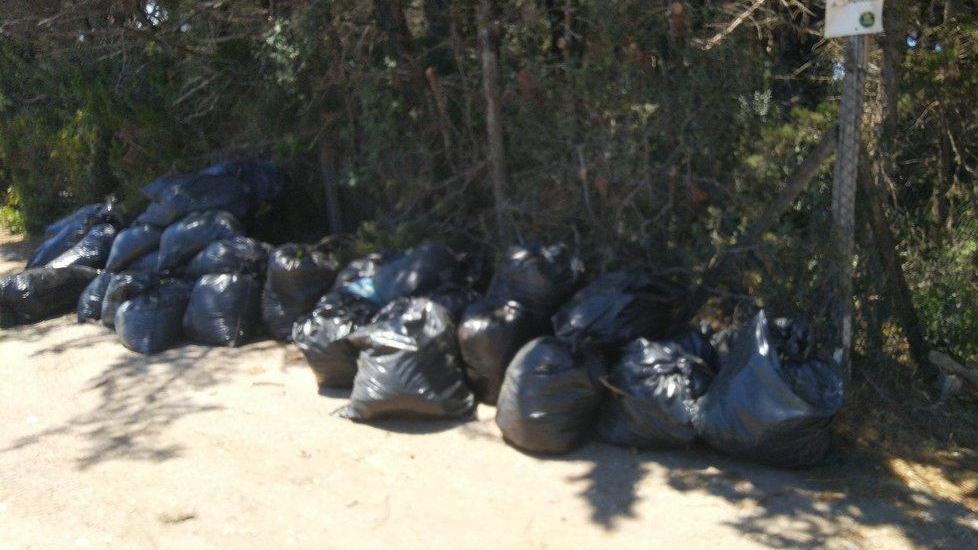 Sacchi con aghi di pino e rifiuti ingombranti abbandonati per strada