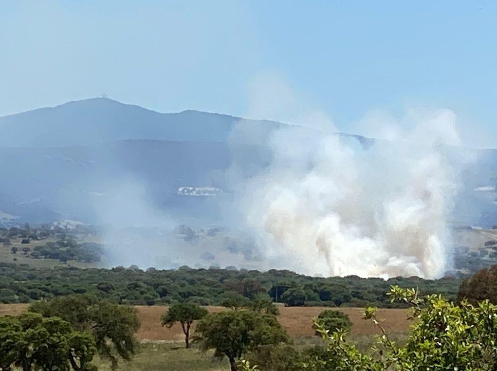 Due incendi nelle campagne di Ardara 