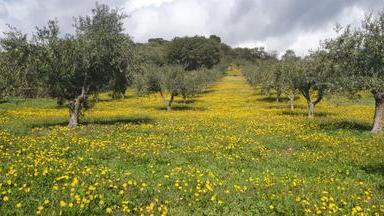Via libera in Sardegna al più grande distretto bio d'Italia