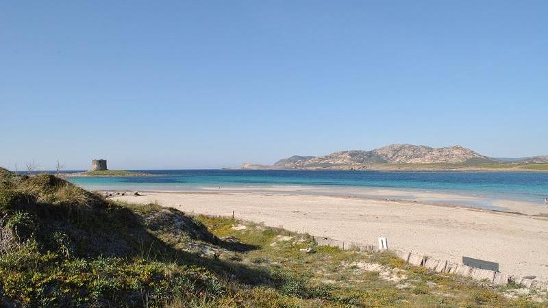 Pelosa a numero chiuso: attivo il portale on line per prenotare