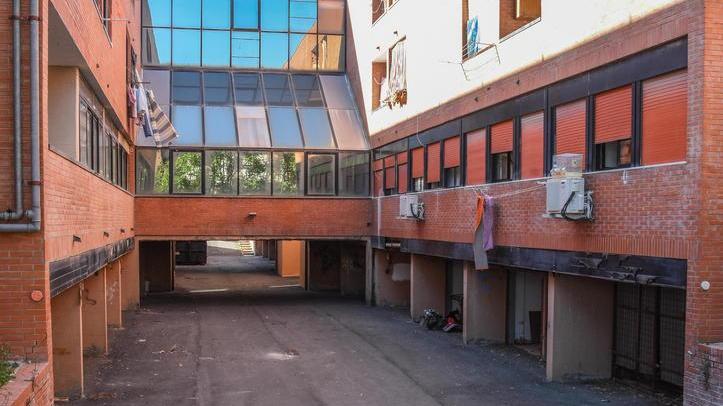 Azzannata da un cane finisce in ospedale «Rispettare le regole»