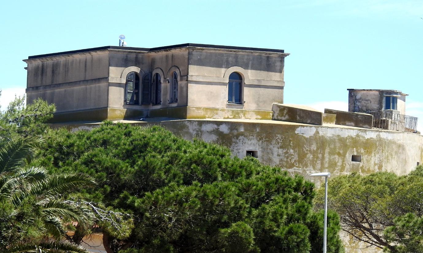 Nella torre comandano i piccioni