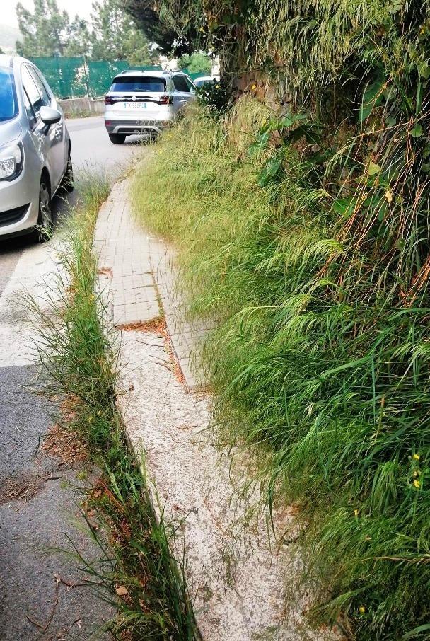 Un marciapiede sconnesso e invaso da erbacce