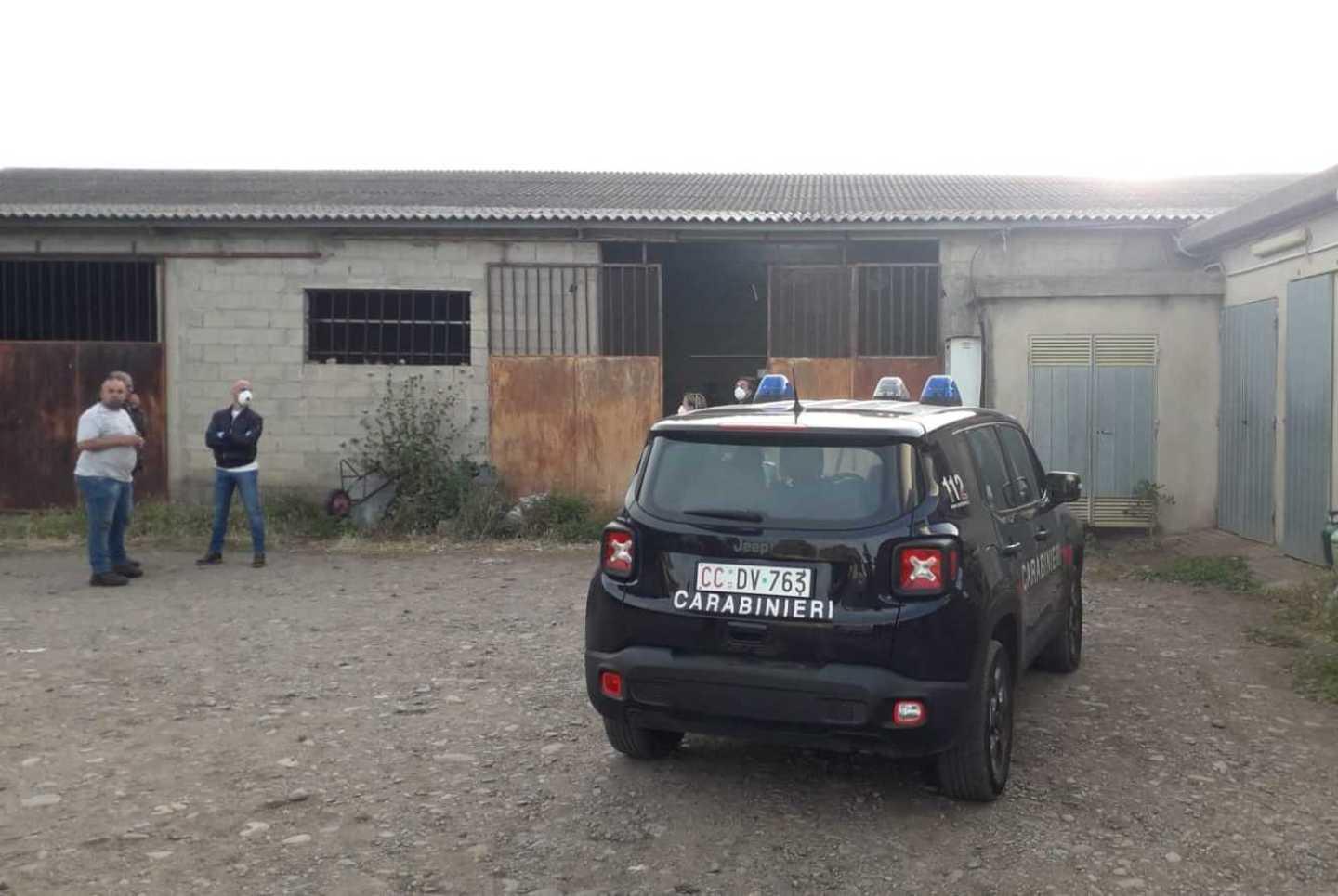 Precipita dal tetto del capannone: morto 