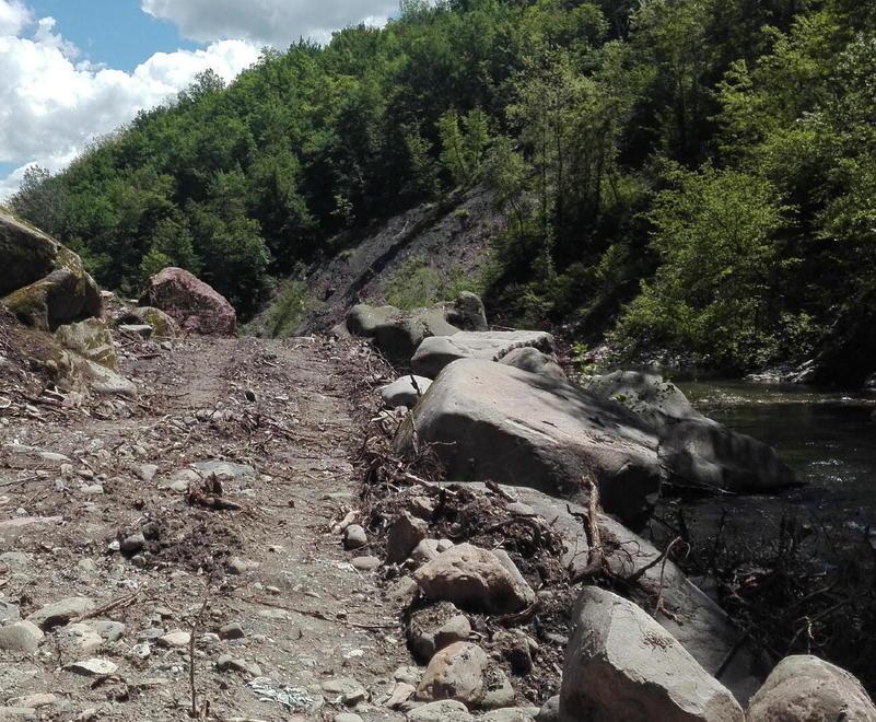 Ruspe vicino ai canyon di Giaredo Alberi sradicati e gettati nel Gordana 
