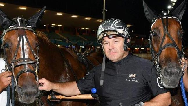 Cavalli in pista occhio a Cinzia e a Cristofaro San