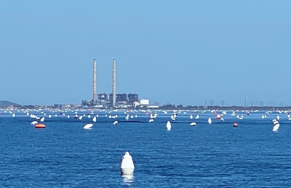 Dalla semina alla raccolta sulla cozzara 