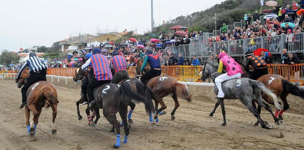 Palio Costa Etrusca «Manifestazione in piena sicurezza»