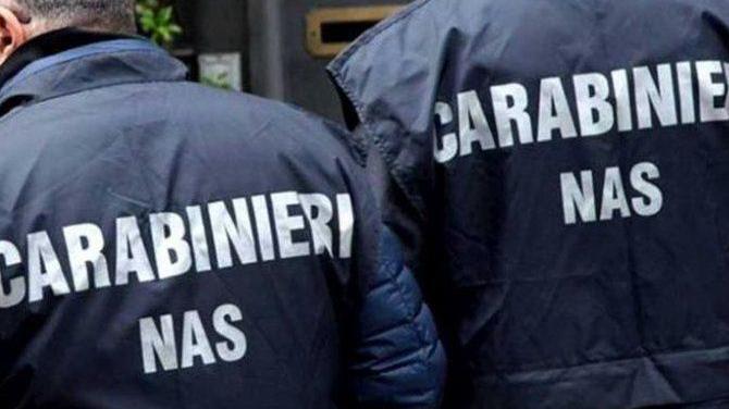 Escrementi di topi e sporcizia accumulata Chiuso bar pasticceria