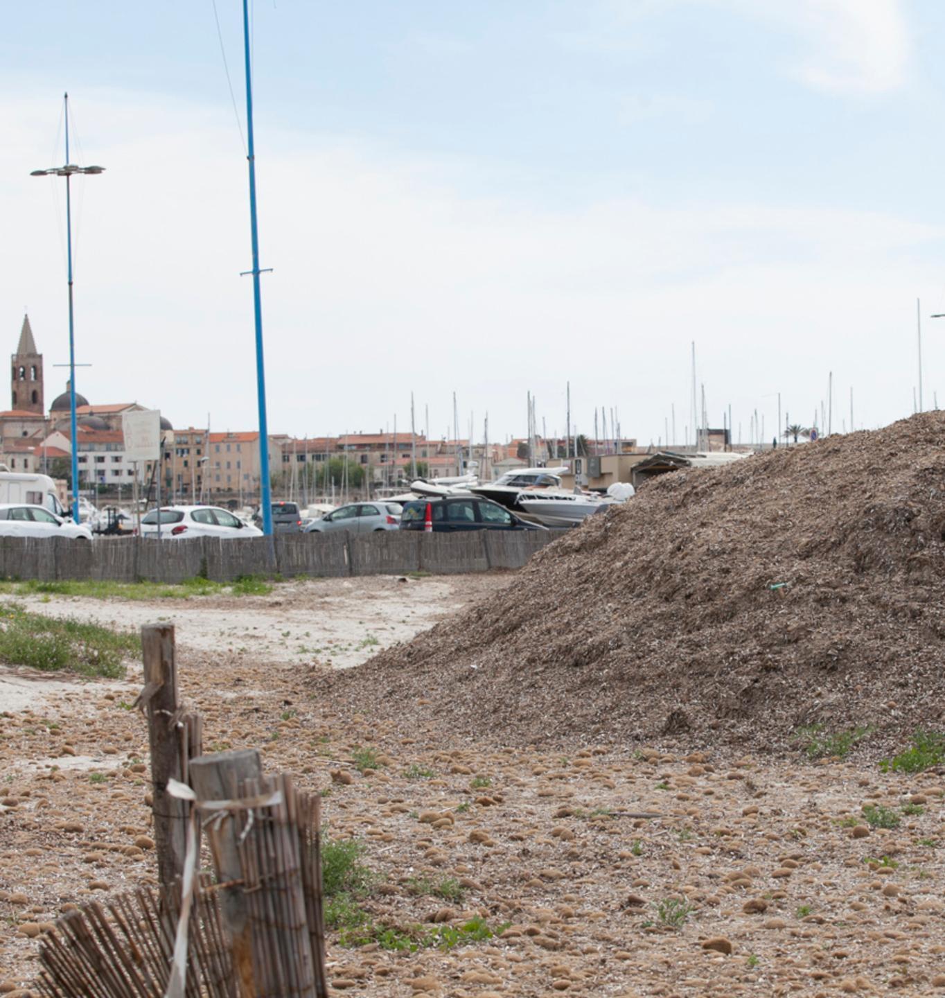 «Posidonia, servizio di pulizia va ampliato» il Comune ha incontrato la Confesercenti