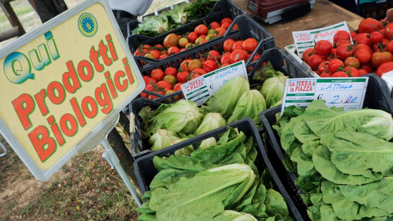 Primi passi per Sardegna-bio il distretto più grande d’Italia