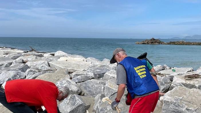 I marinai alla foce del Frigido per pulire la spiaggia dai rifiuti