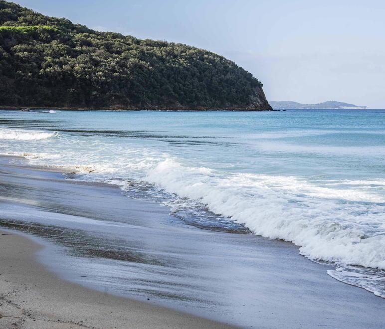 Cala Violina su prenotazione, ecco come fare 