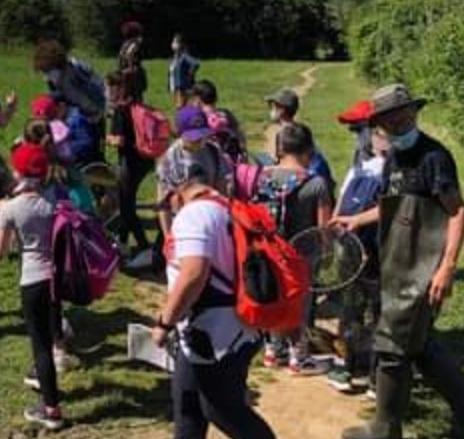 Tartarughe “aliene”, iniziata la bonifica del lago Cavo