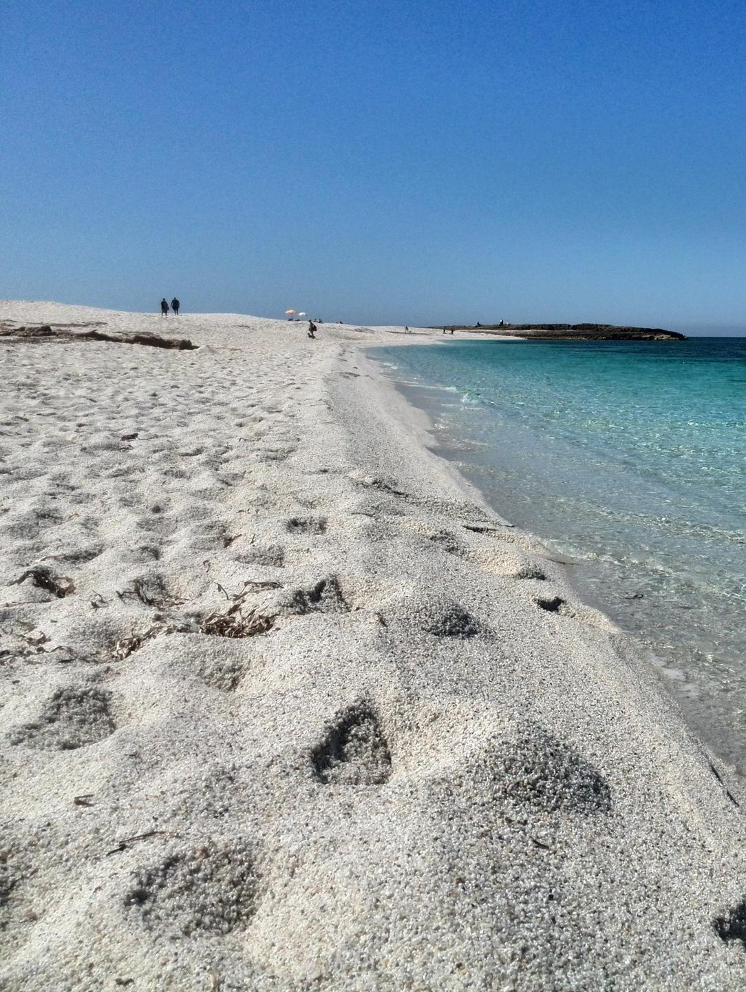 Un esercito di volontari per pulire le spiagge 