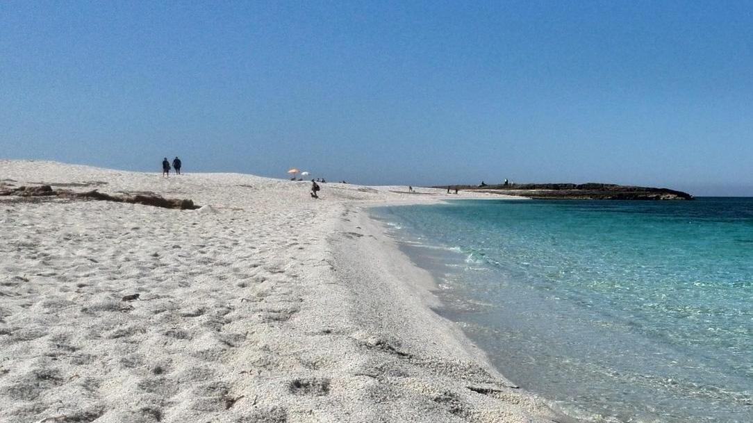 Un esercito di volontari per pulire le spiagge