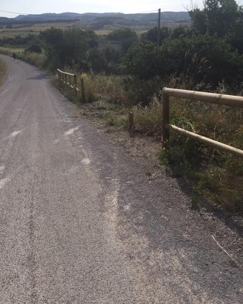 Ozieri, auto pirata distrugge la staccionata dell’oasi faunistica