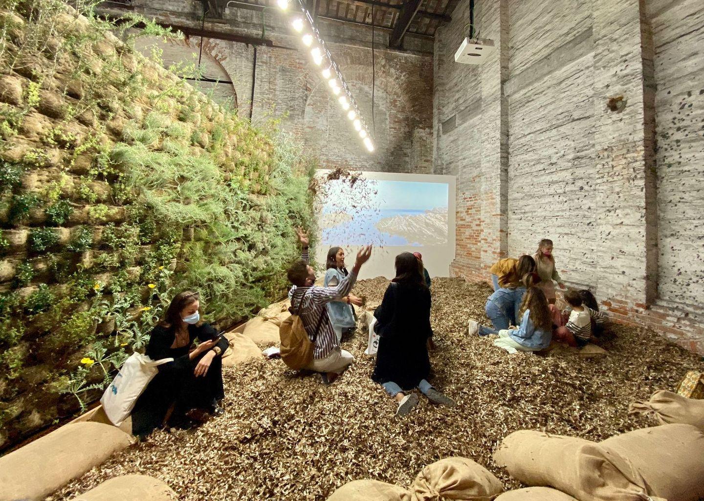 Alla Biennale di Venezia le bellezze dell’Asinara 