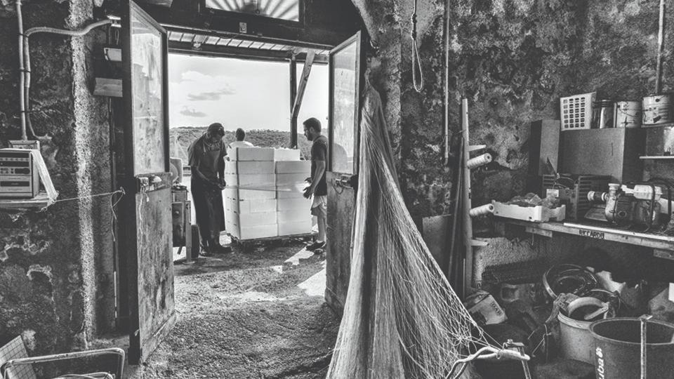 La bellezza della laguna di Orbetello e il gusto del pescato di giornata 