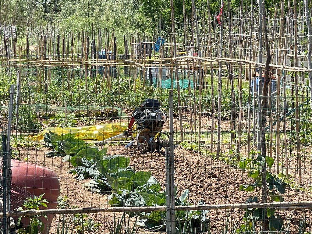 Il cadavere del pensionato, avvolto da un telo termico, vicino alla motozappa (Foto Nucci/Lorenzo Innocenti)