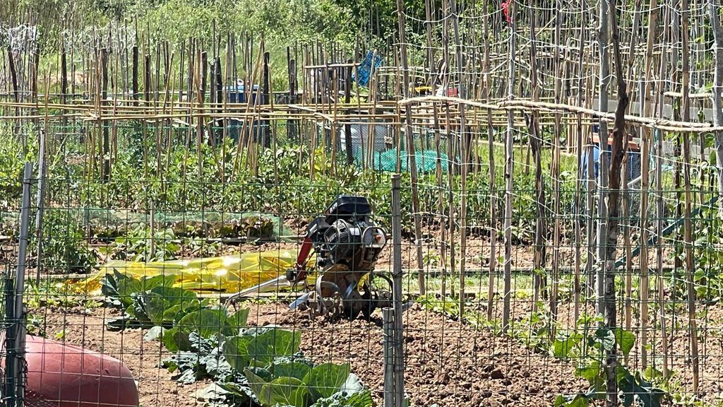 Il cadavere del pensionato, avvolto da un telo termico, vicino alla motozappa (Foto Nucci/Lorenzo Innocenti)