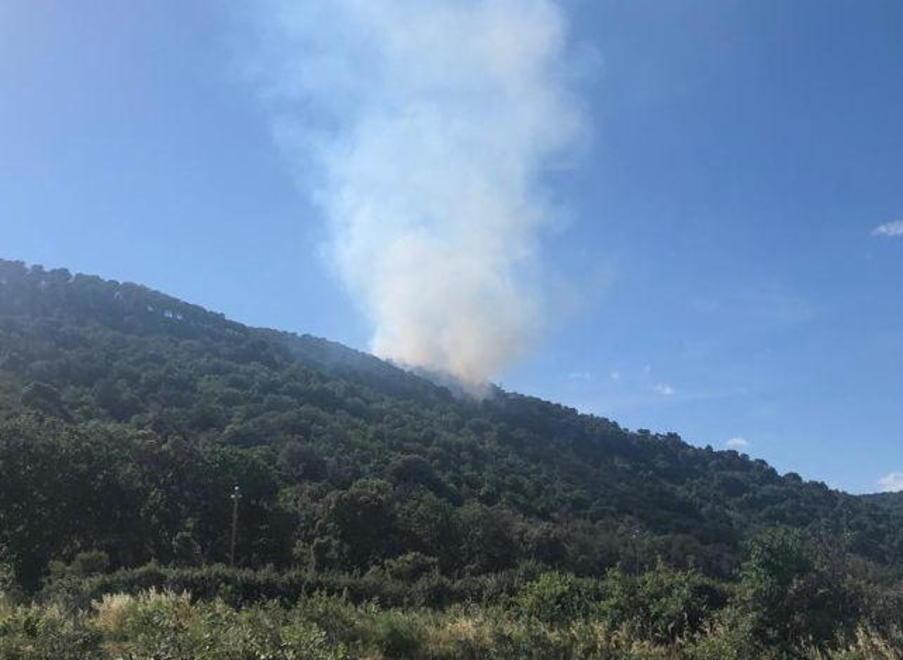 Fiamme alla Santa, brucia parte di bosco Arrivano gli elicotteri
