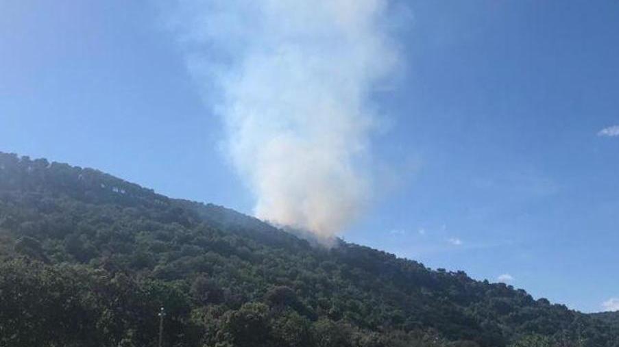 Fiamme alla Santa, brucia parte di bosco Arrivano gli elicotteri