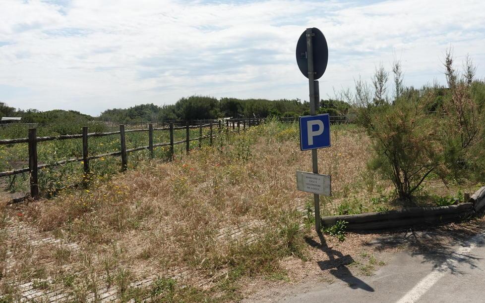Macchiatonda, erba alta nel parcheggio moto Sarà sistemato a breve