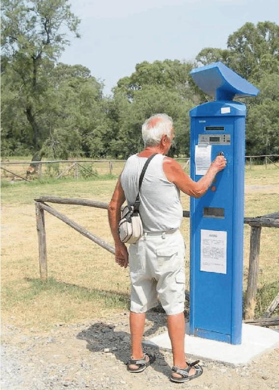 Un parcheggio a pagamento a Marina di Bibbona (foto Michele Falorni/Silvi)