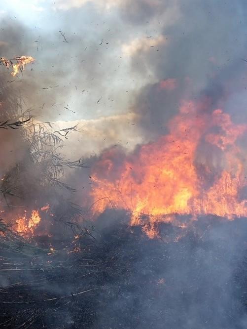 Via alle prescrizioni contro gli incendi 
