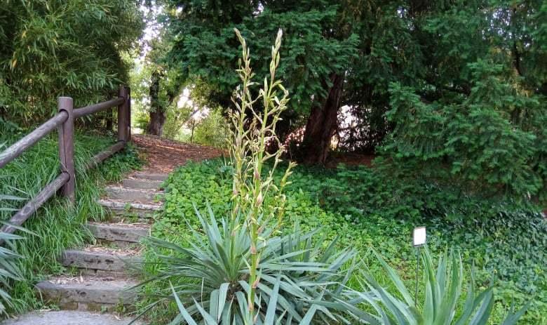 Modena. L’Orto Botanico pronto a riaprire dopo il restauro durato tre anni 