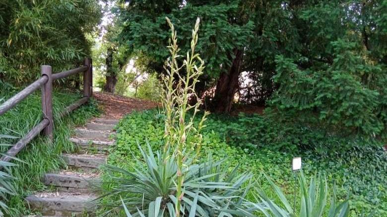 Modena. L’Orto Botanico pronto a riaprire dopo il restauro durato tre anni