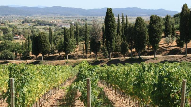 Cinque vini da podio I pemi al concorso delle Citta del vino