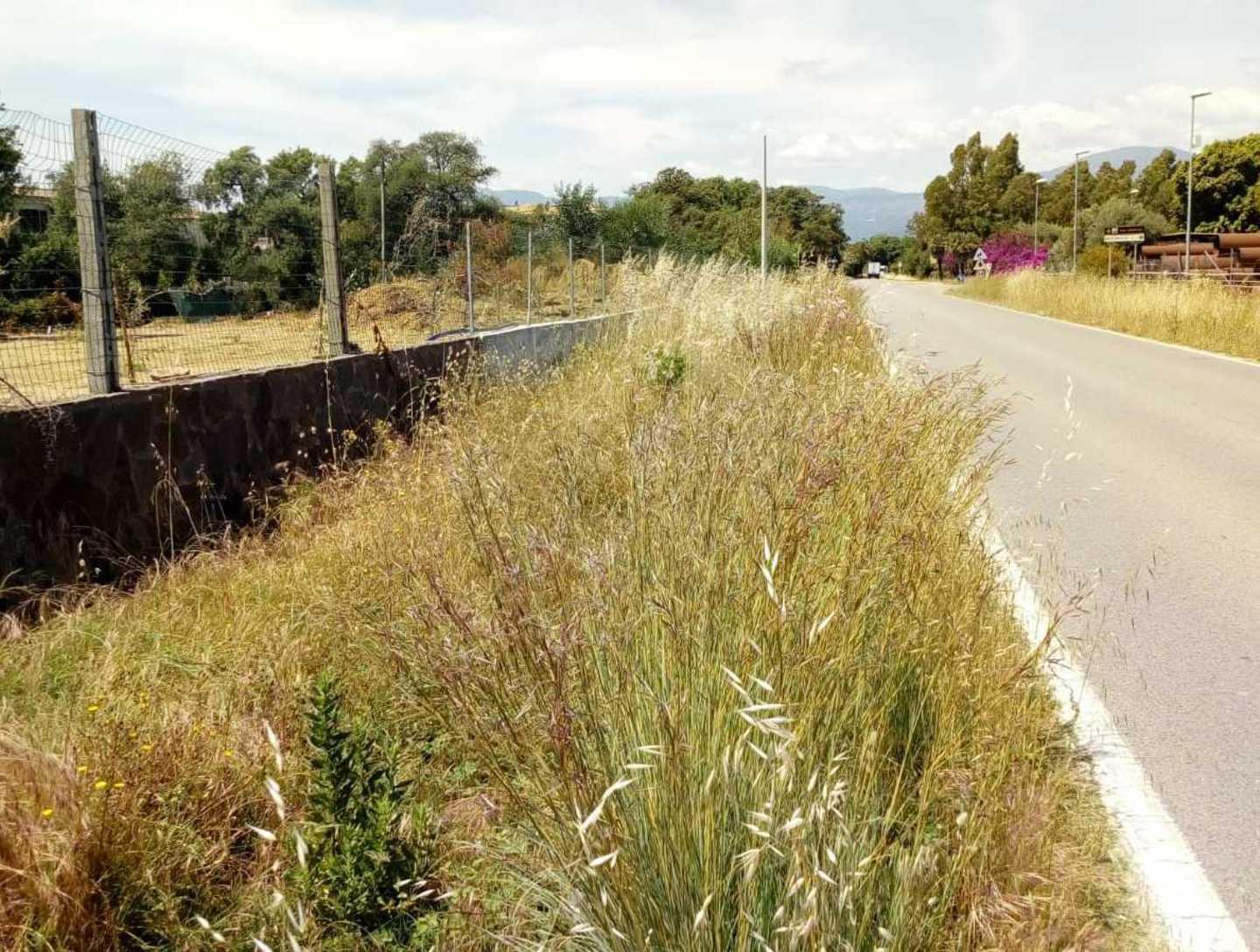 Erba ancora alta ai lati della strada e difficoltà continue per i pedoni