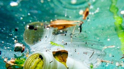 Il Comune dichiara guerra alla plastica