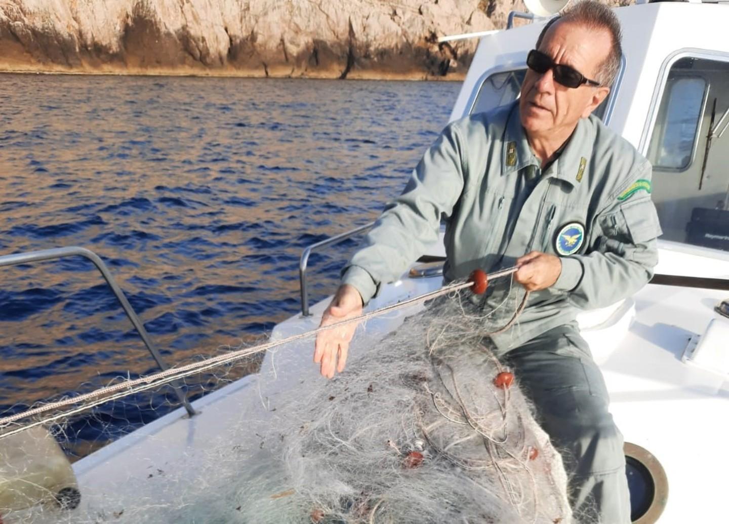 Coralli e stelle marine nella rete vietata 