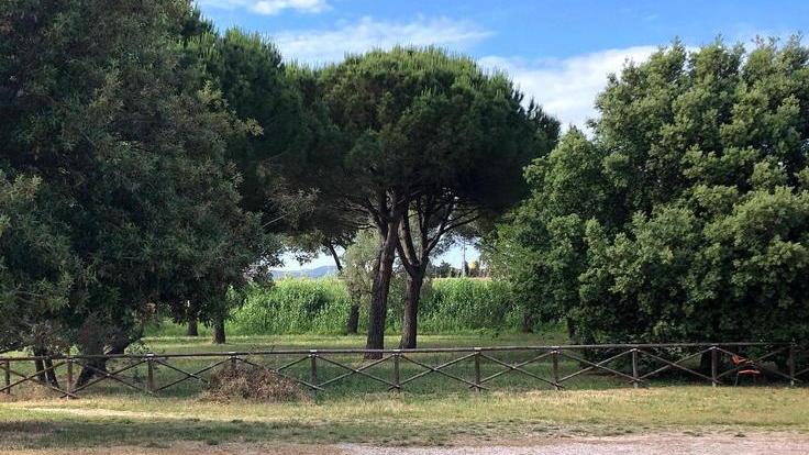 Collegamento ciclopedonale Tra pochi giorni cominciano i lavori