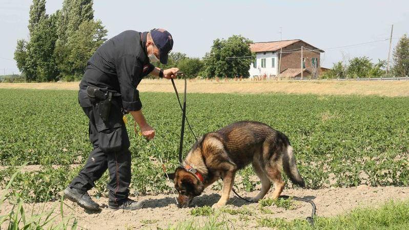 Ancora a vuoto le ricerche con i due cani molecolari