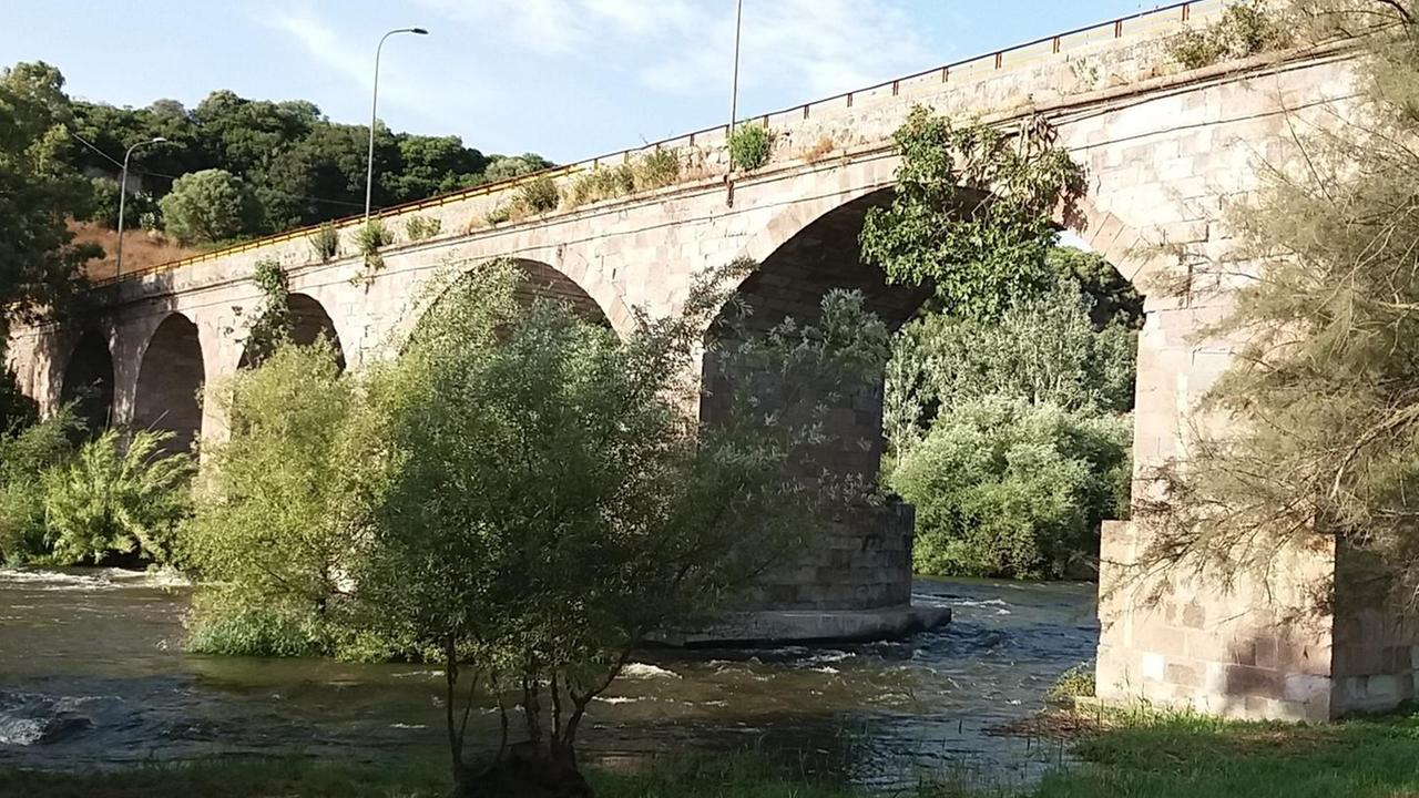 Un parco fluviale sulle sponde del Tirso 