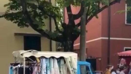 Venditrici itineranti multate per la sosta durata più di un’ora