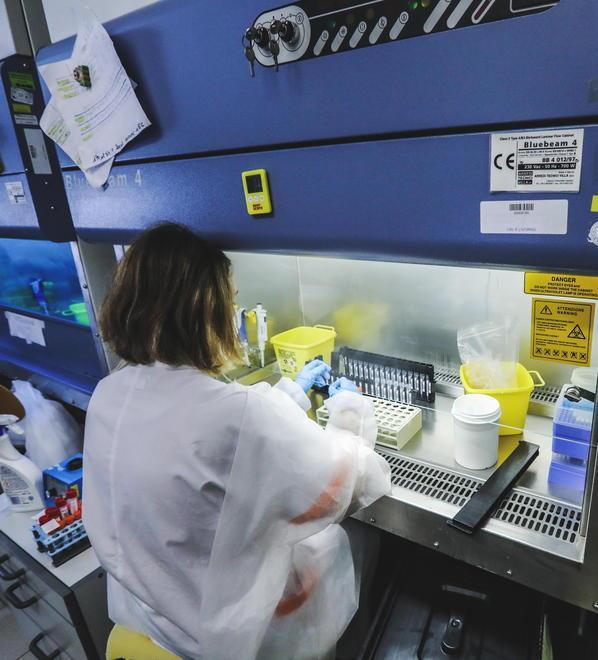 Sanità free quasi a regime Ma spunta il virus indiano 