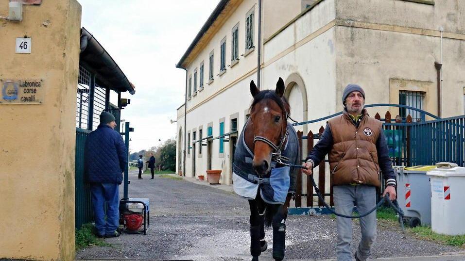 L’asta per l’ippodromo va deserta ma il sindaco va avanti: "Apriremo"