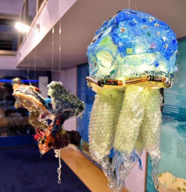 L’arte contro l’inquinamento In finale i pesci in 3D del liceo